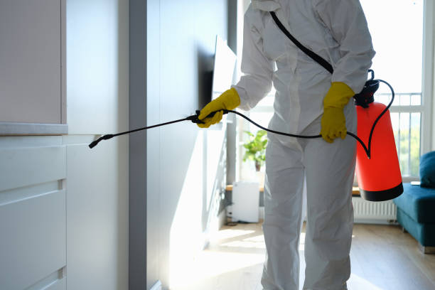 Mold Odor Removal Services in Covington, LA